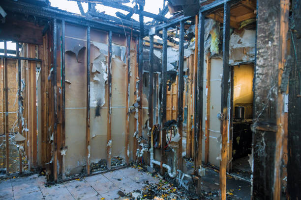 Professional Fire Damage Removal technician working in Maple Grove, MN