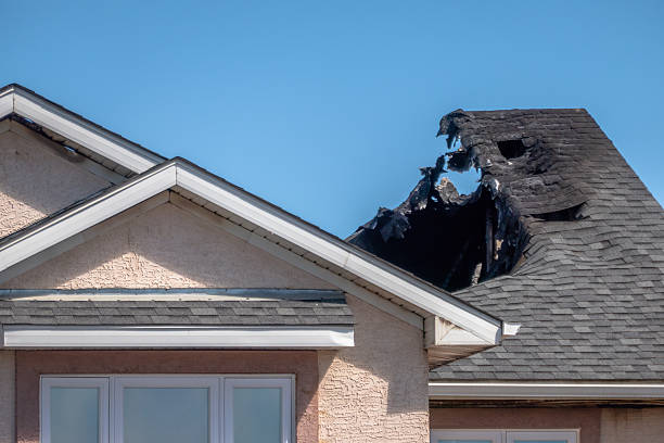Top rated local Fire Damage Removal specialists in Maple Grove, MN